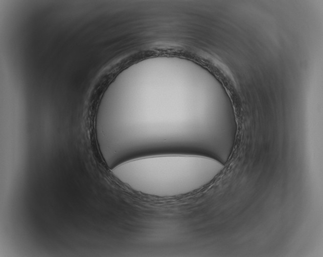 X0000102400920200808010952