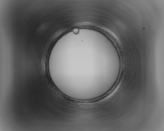 X0000102400921200808010952