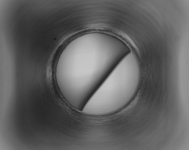 X0000102400923200808010952
