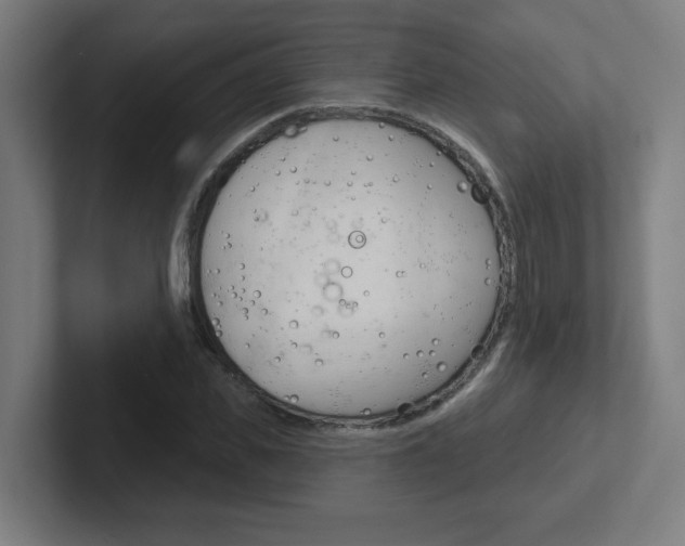 X0000102400925200808010952