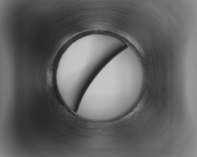 X0000102400926200808010952