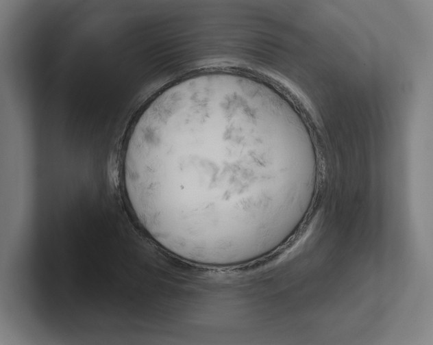 X0000102400929200808010952