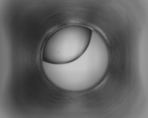 X0000102400930200808010952