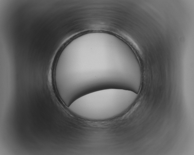 X0000102400932200808010952