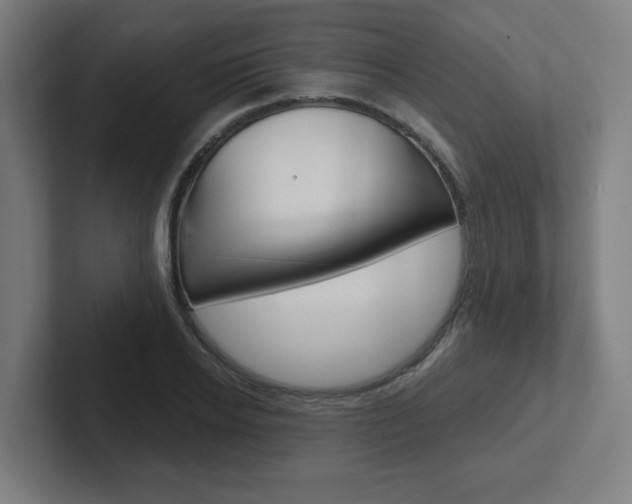 X0000102400934200808010952