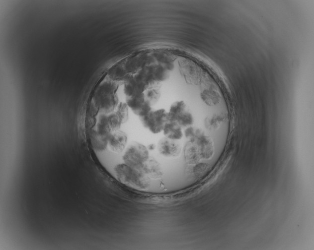 X0000102400937200808010952