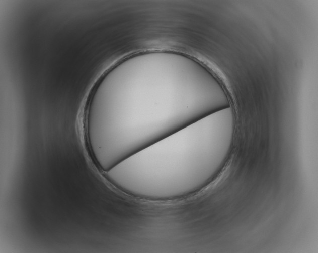 X0000102400941200808010952