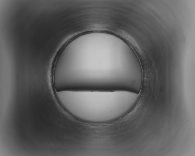 X0000102400942200808010952