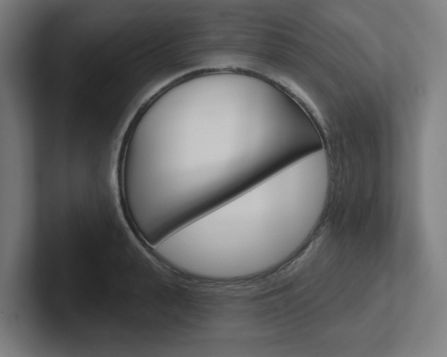 X0000102400943200808010952