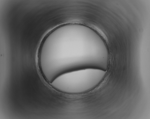 X0000102400944200808010952