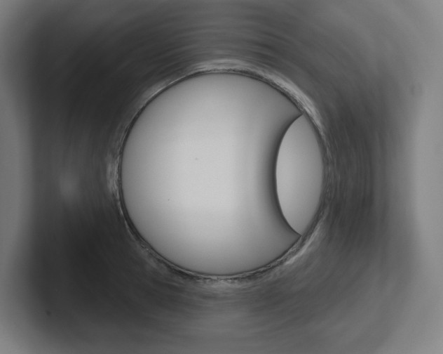 X0000102400945200808010952