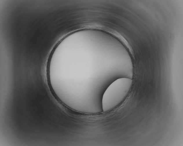 X0000102400947200808010952