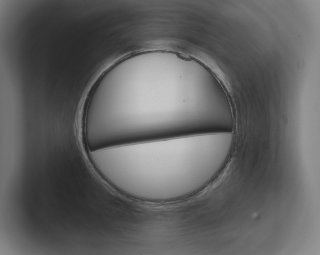 X0000102400949200808010952