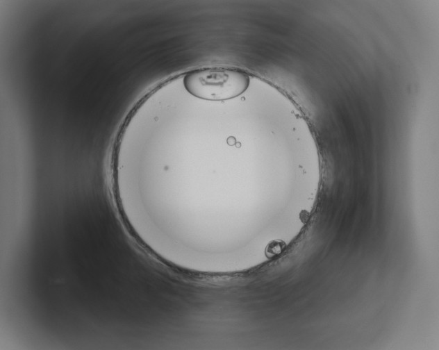 X0000102400950200808010952