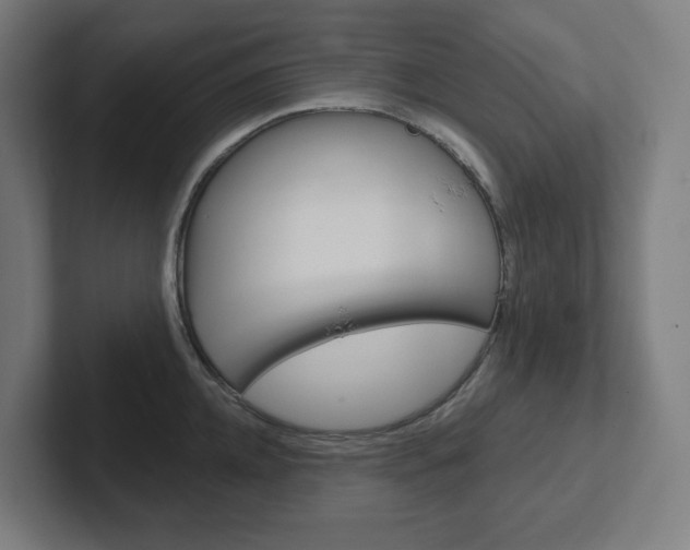 X0000102400952200808010952