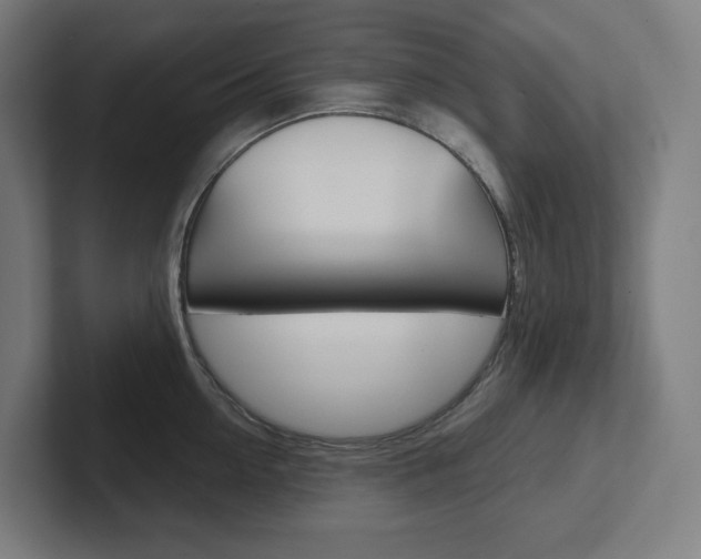 X0000102400954200808010952