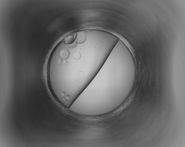 X0000102400957200808010952