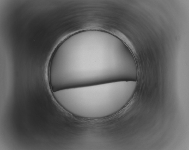X0000102400958200808010952