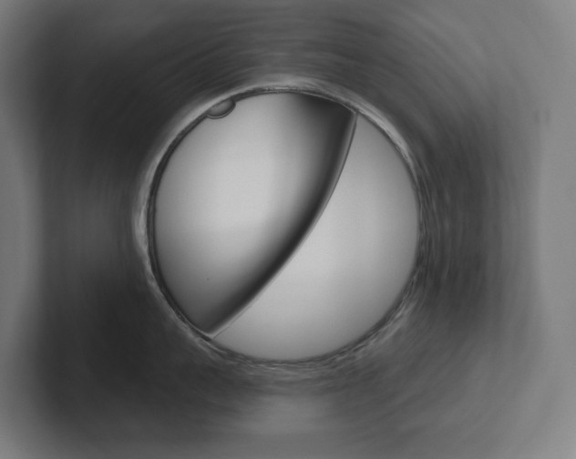 X0000102400959200808010952