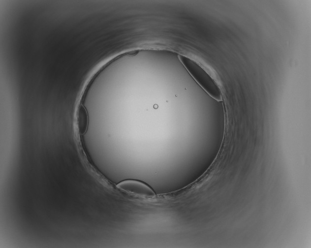 X0000102400960200808010952