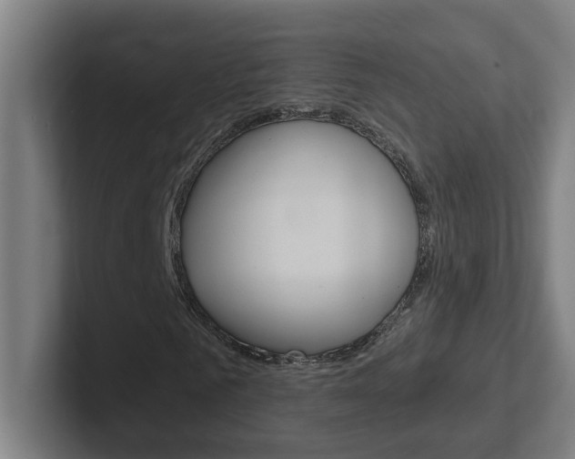 X0000102400961200808010952