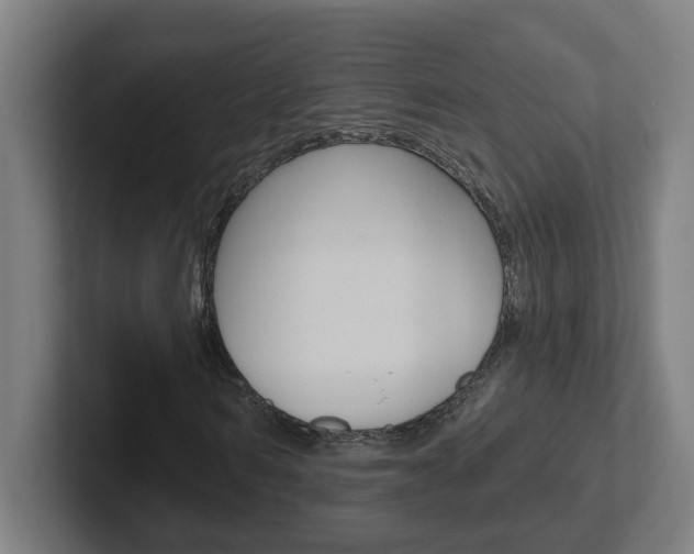 X0000102400962200808010952