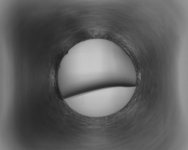 X0000102400963200808010952