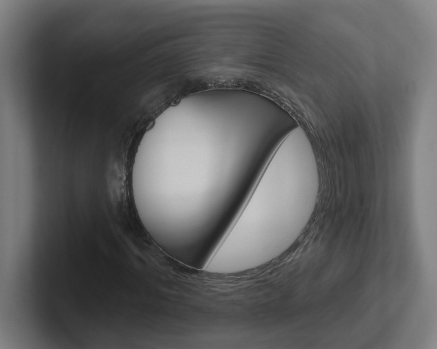 X0000102400964200808010952