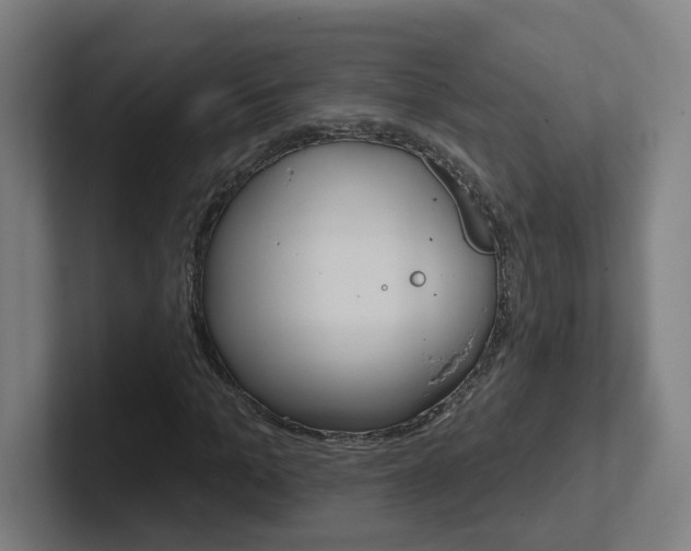X0000102400965200808010952