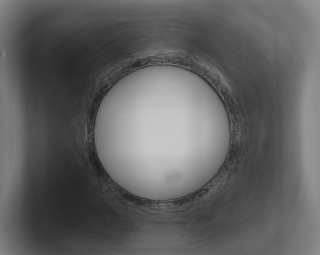 X0000102400966200808010952