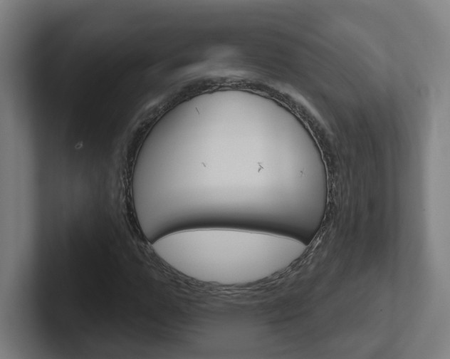 X0000102400967200808010952