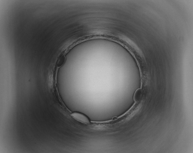 X0000102400969200808010952