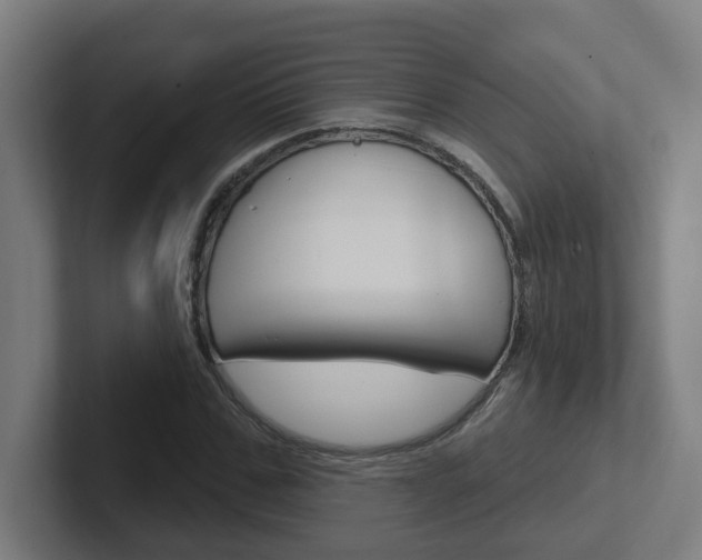 X0000102400971200808010952