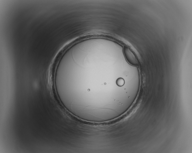 X0000102400973200808010952