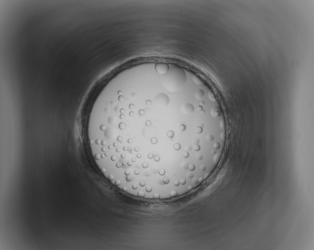 X0000102400974200808010952