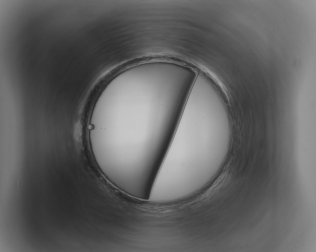 X0000102400975200808010952