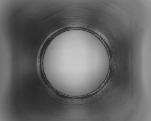 X0000102400976200808010952