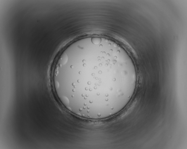 X0000102400978200808010952