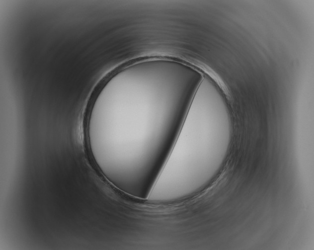 X0000102400980200808010951