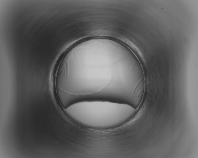 X0000102400981200808010951