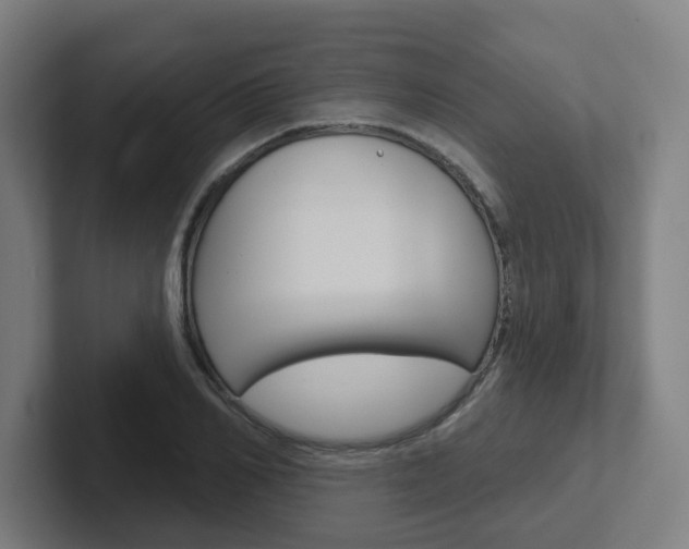 X0000102400982200808010951