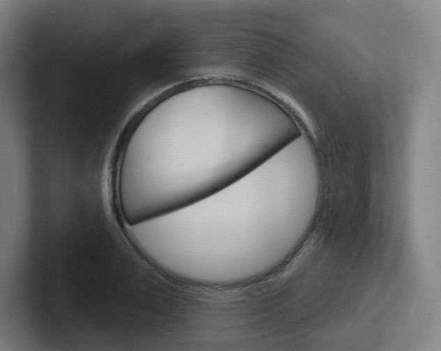 X0000102400983200808010951