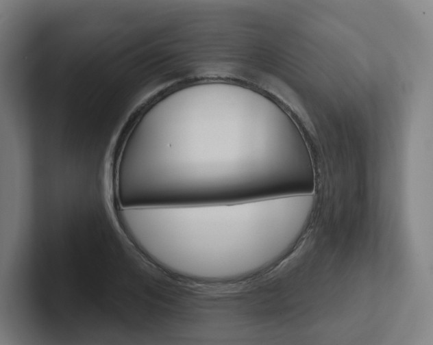 X0000102400984200808010951