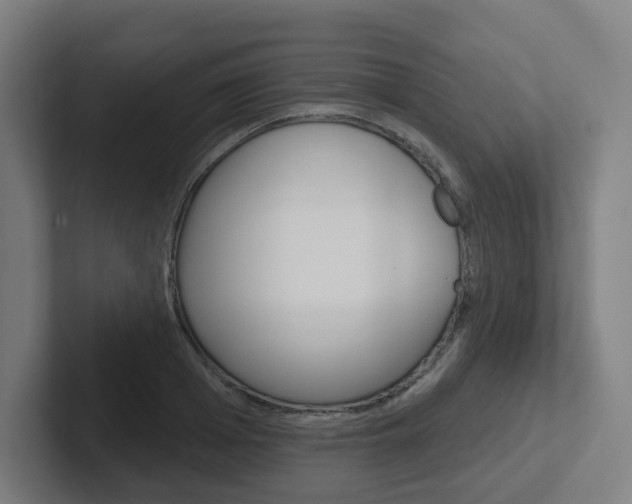 X0000102400985200808010951