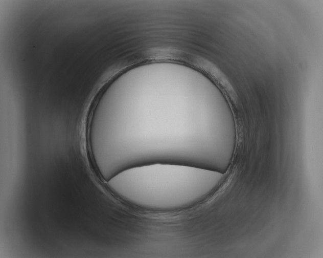 X0000102400986200808010951
