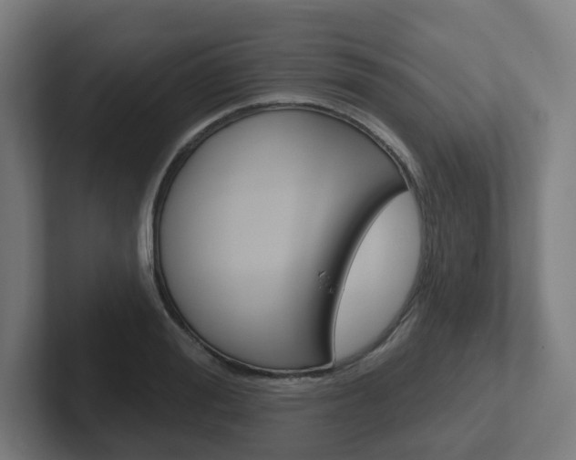 X0000102400988200808010951