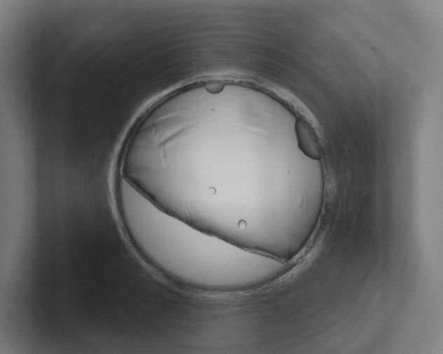 X0000102400989200808010951