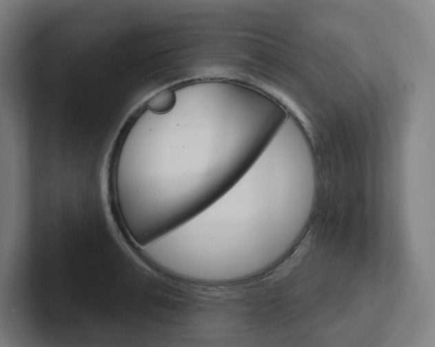 X0000102400991200808010951