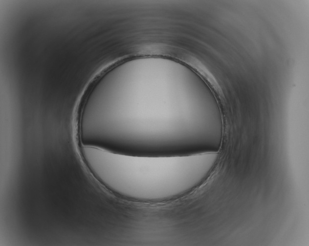 X0000102400992200808010951