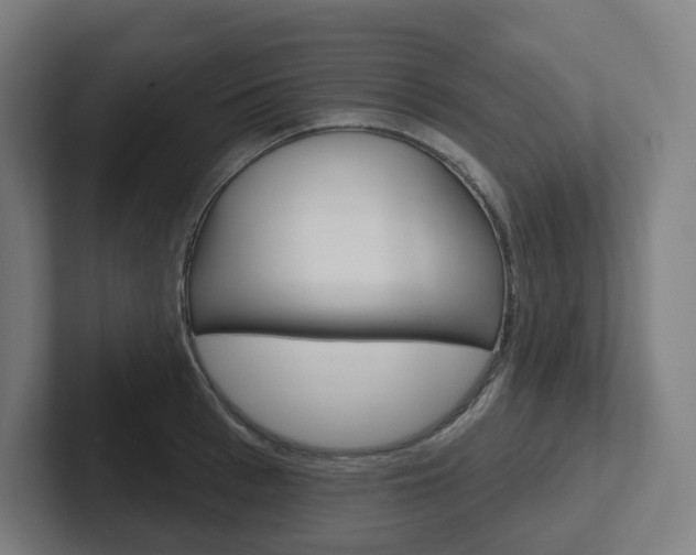 X0000102400993200808010951